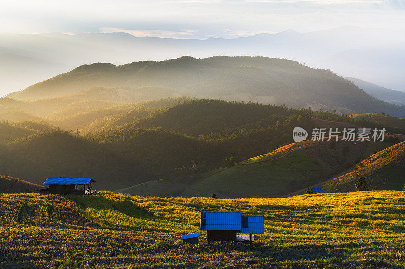 泰国清迈Pa Pong Pieng，美丽的日出和雾海在绿色梯田